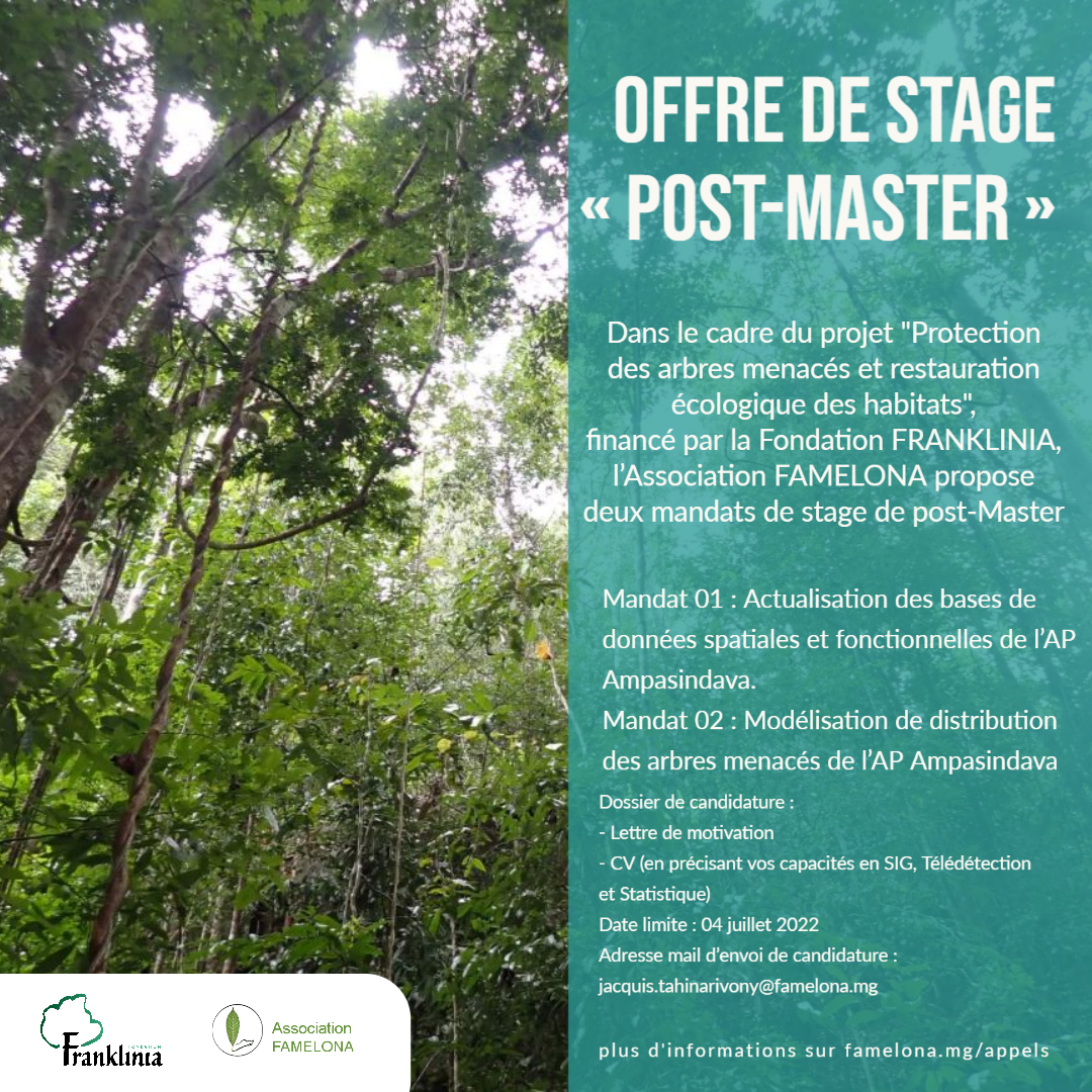 offre stage
